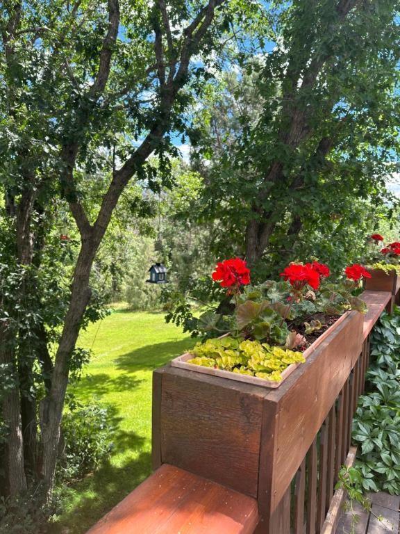 Country Sunshine Bed And Breakfast Hermosa Extérieur photo