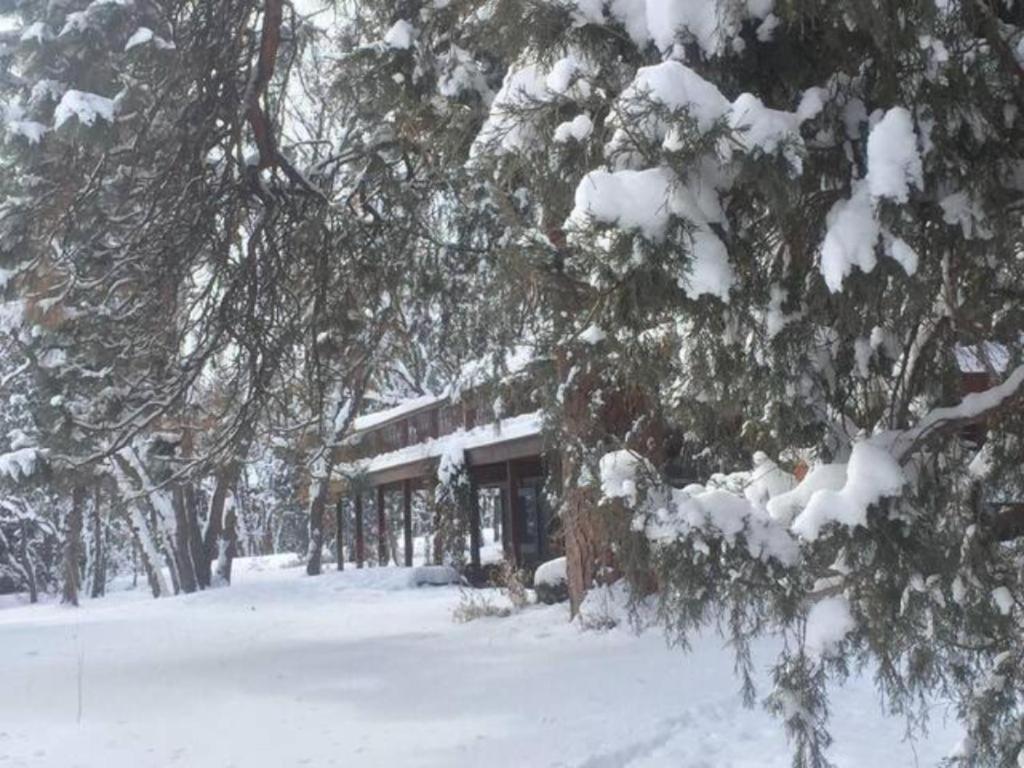 Country Sunshine Bed And Breakfast Hermosa Extérieur photo